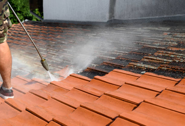 Best Concrete Pressure Washing  in Cornville, AZ
