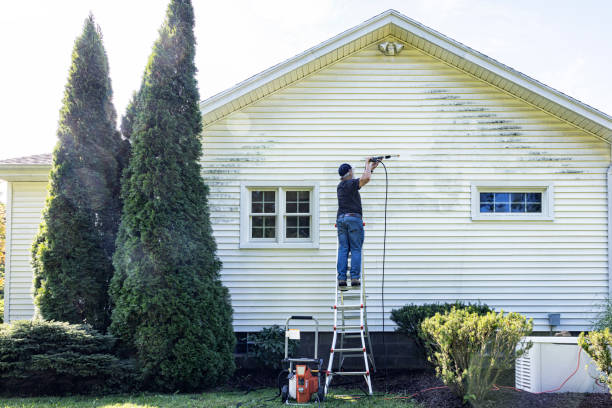 Best Pressure Washing Siding  in Cornville, AZ