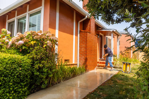 Best Pressure Washing Services Near Me  in Cornville, AZ