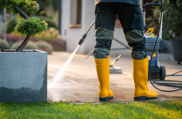 Best Local Pressure Washing Services  in Cornville, AZ